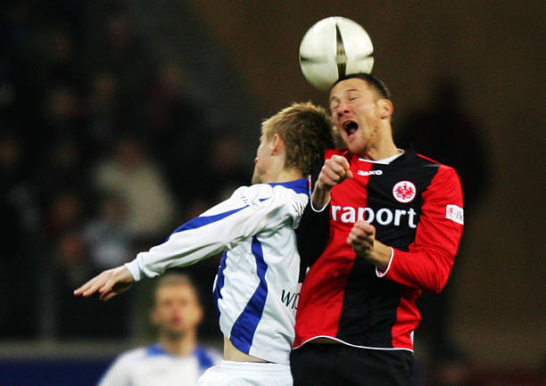 而雄鹿则提 而雄鹿则提